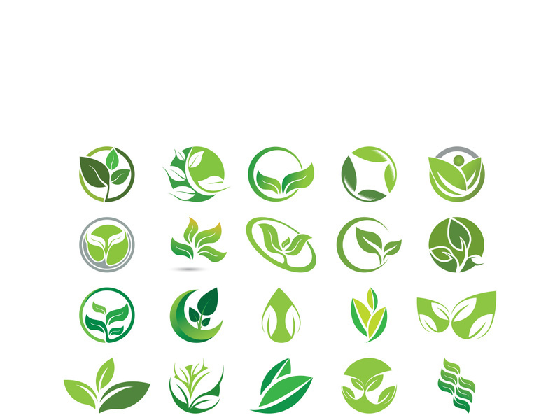 Logos of green tree leaf ecology nature element vector