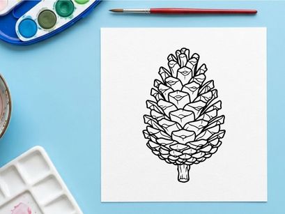 Close-up of a pine cone on a white background. Natural botanical detail for nature and outdoor themes.