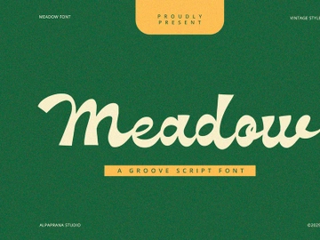 Meadow - Groove Script Font preview picture