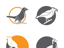Elegant bird logo icon design and symbol vector template