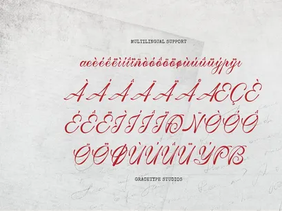 Tanya Kata | Handwritten Script