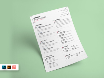 Resume CV Template-61 preview picture