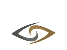 Eye vector logo design image template
