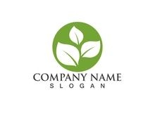 Green leaf logo Vector