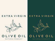 Hand drawn Botanical logo,leaf and natural olive fruit .Herbal, olive oil,cosmetic or beauty.