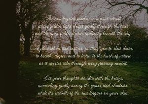 Serphina Lawliam | Handwritten Vintage Script