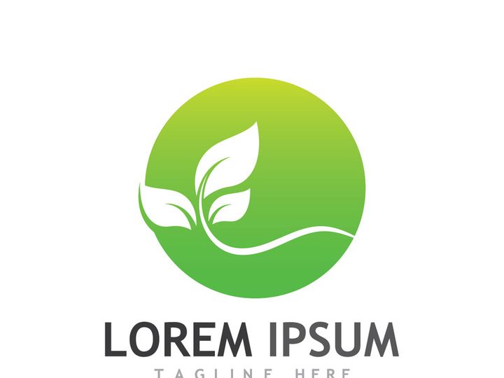Natural green leaf logo design.