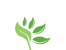 Logos of green tree leaf ecology nature element vector