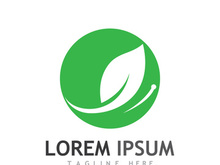Natural green leaf logo design.