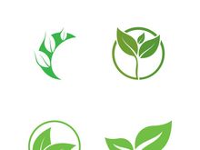 Logos of green tree leaf ecology nature element vector