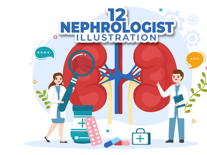 12 Nephrologist Vector Illustration
