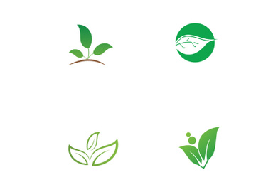 nature leaf logo preview picture