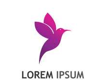 Beautiful and colorful bird creative logo design.