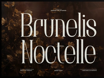 Brunelis Noctelle | Display Serif Font preview picture