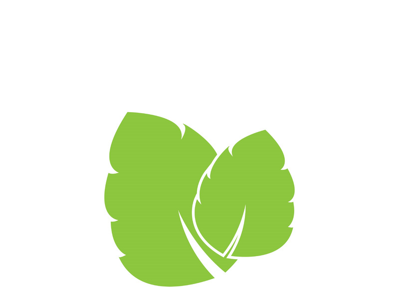 Leaf logo vector icon design template