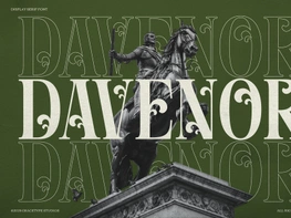 Davenor | Display Serif Font preview picture