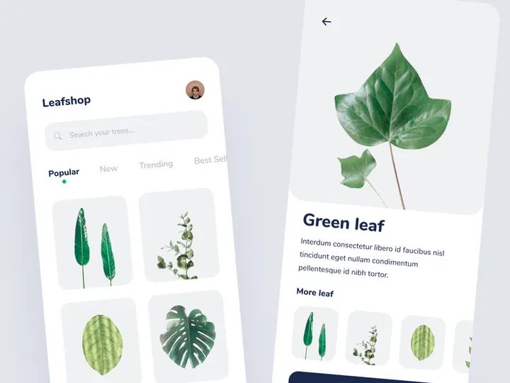 Leaf shop app concept preview picture