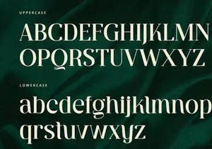 Ventura - Serif Font