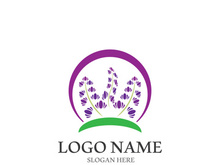 Lavender flower vector icon illustration design template