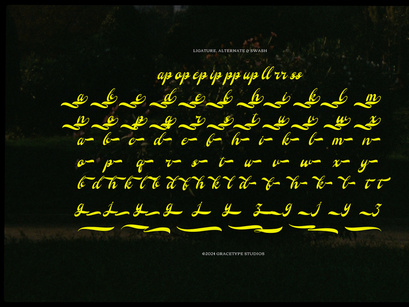 Regarding Wayback | Vintage Script
