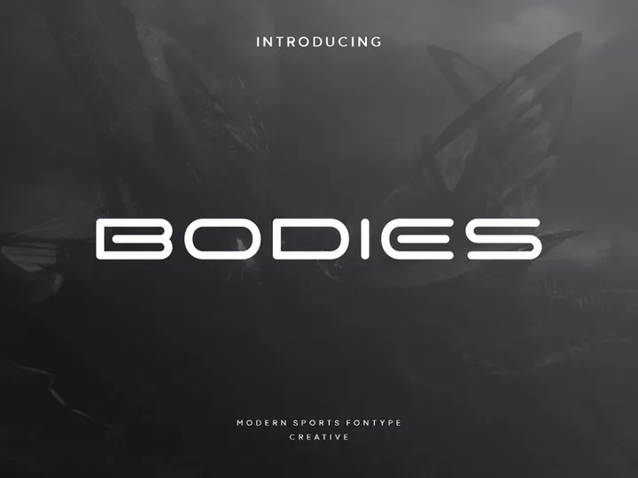 Bodies