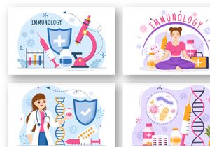 12 Immunology Protection System Illustration