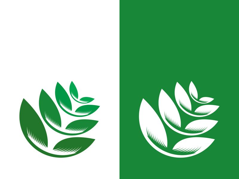 Logos of green tree leaf ecology nature element vector