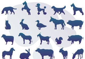 Animals : Silhouette Collection With Logo