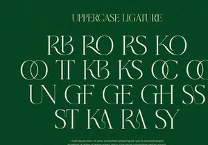 Grass - Serif Font