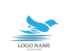 Dove bird logo vector design illustration