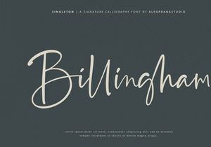 Singleton - Signature Font
