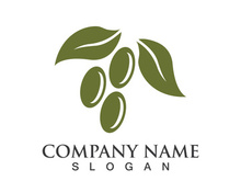 Extra virgin olive oil logo icon design vector illustration