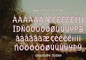 Solagrain Analog | Handwritten Font