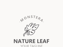Monstera deliciosa leaf nature logo design, flat plant icon design illustration template