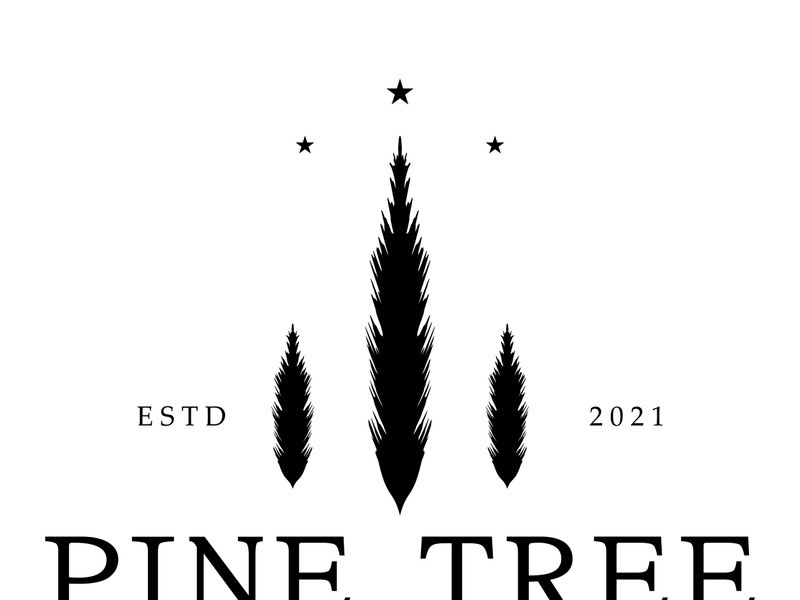 simple pine or fir tree logo,evergreen.for pine forest,adventurers,camping,nature,badges and business.vector