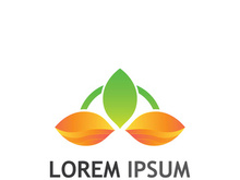 Natural green leaf logo design.