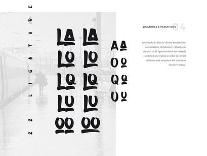 Blowbrush Font
