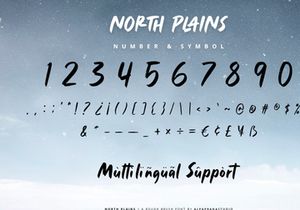 North Plains - Rough Brush Font