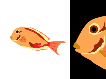 Fish Illustration Vector Bundle