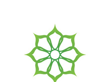 Beauty Vector lotus flowers design logo Template icon