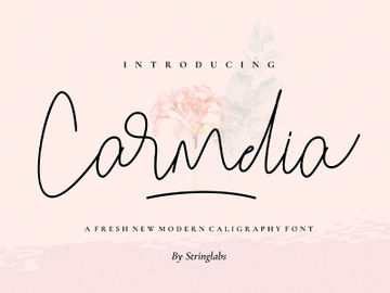 Carmelia - Modern Calligraphy Font preview picture