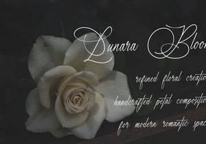 Marseliyon | Elegant Signature Script