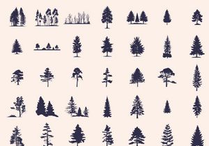 Silhouettes Trees Set, Pine Tree fir pruce cedar white patch alder elm birch ash cypress beech palm tree.