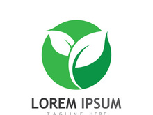 Natural green leaf logo design.