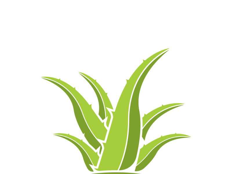 Aloe Vera logo icon design symbol beauty skin care