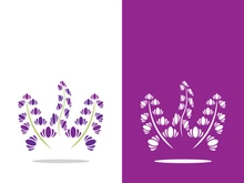 Fresh lavender flower logo vector flat design