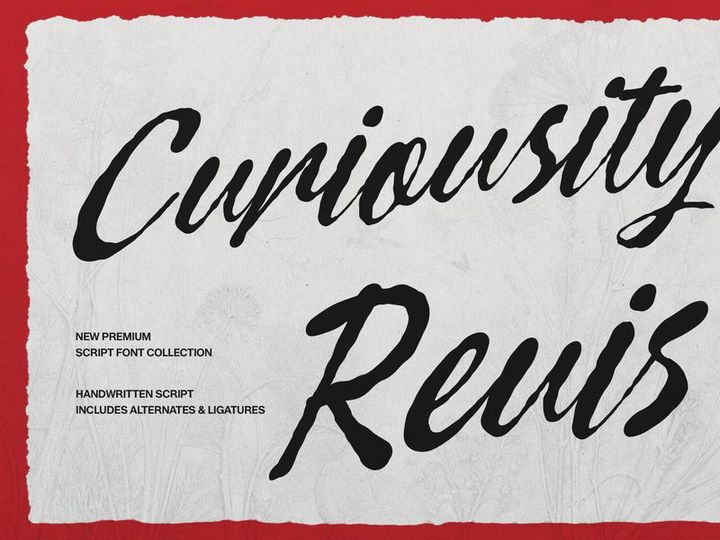 Curiousity Reuis | Handwritten Script
