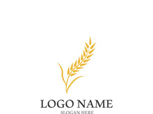 Wheat logo vector icon illustration design