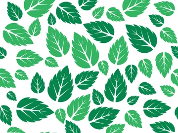 Mint Leaf icon template  illustration preview picture