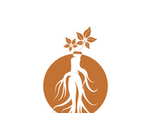 Ginseng logo design template and symbol icon vector illustration